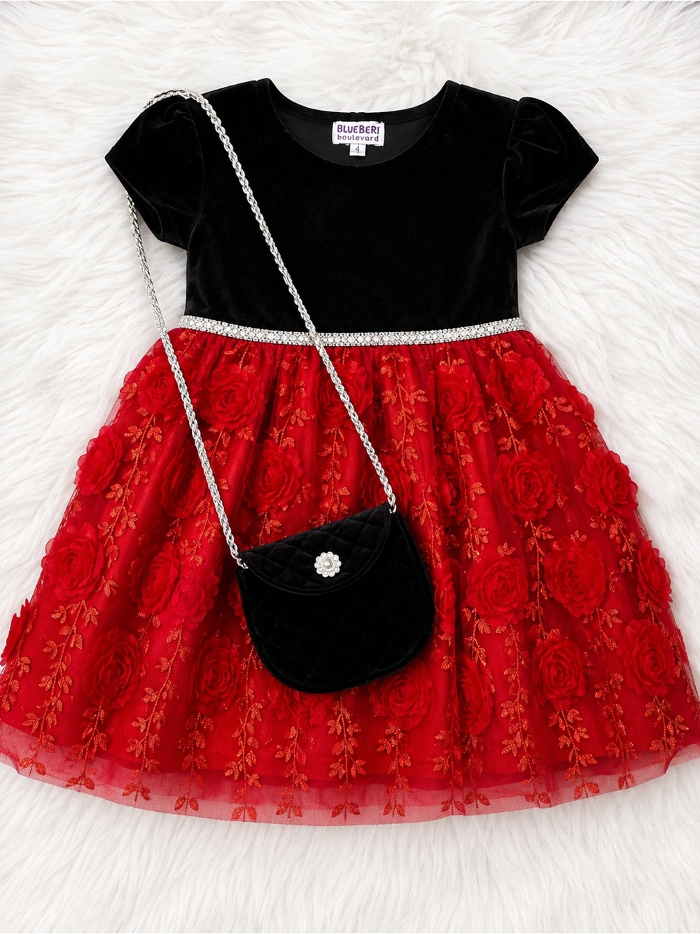 Blueberi Boulevard Black Velvet & Red Floral Tulle Dress with Purse